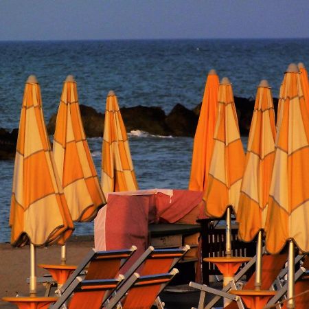 B&B Nonna Lilla Монтесильвано Экстерьер фото